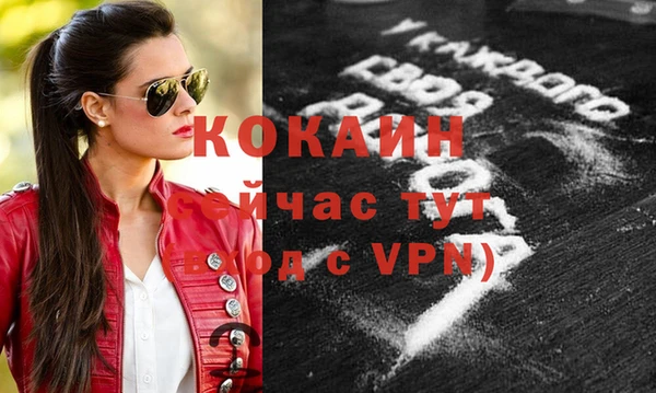 соль ск Кукмор