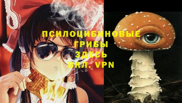 соль ск Кукмор