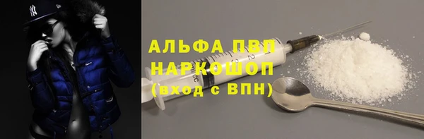 соль ск Кукмор