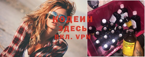 соль ск Кукмор